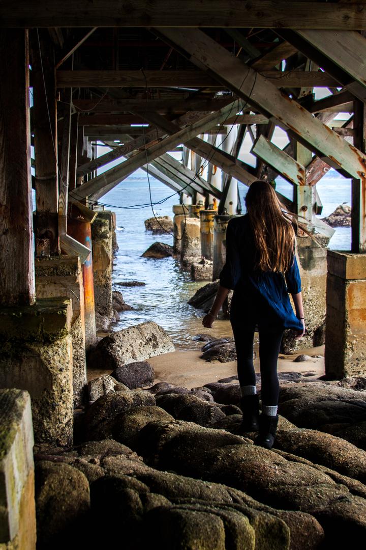 People, Animals, Misc