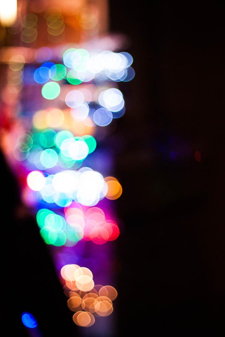 People, Animals, Misc