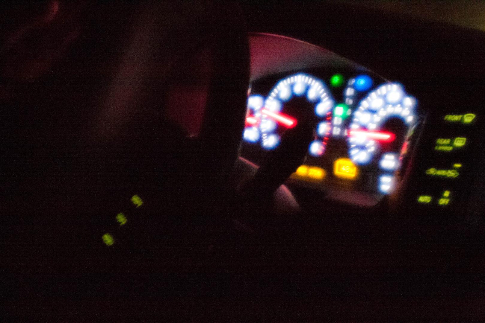 People, Animals, Misc